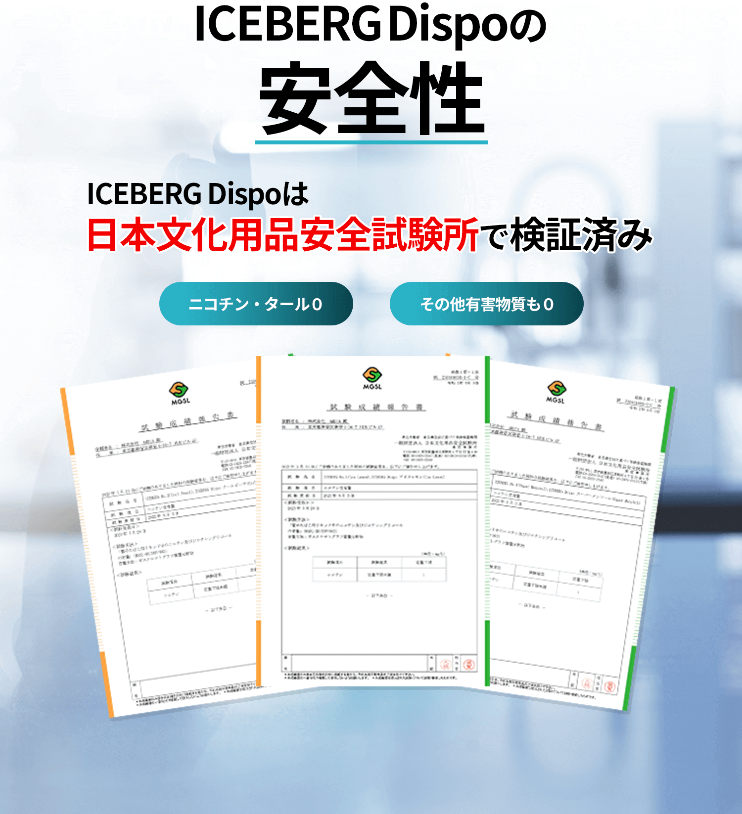 ICEBERG Dispoの安全性