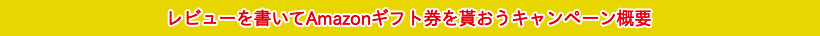 レビューを書いてAmazonギフト券を貰おうキャンペーン概要