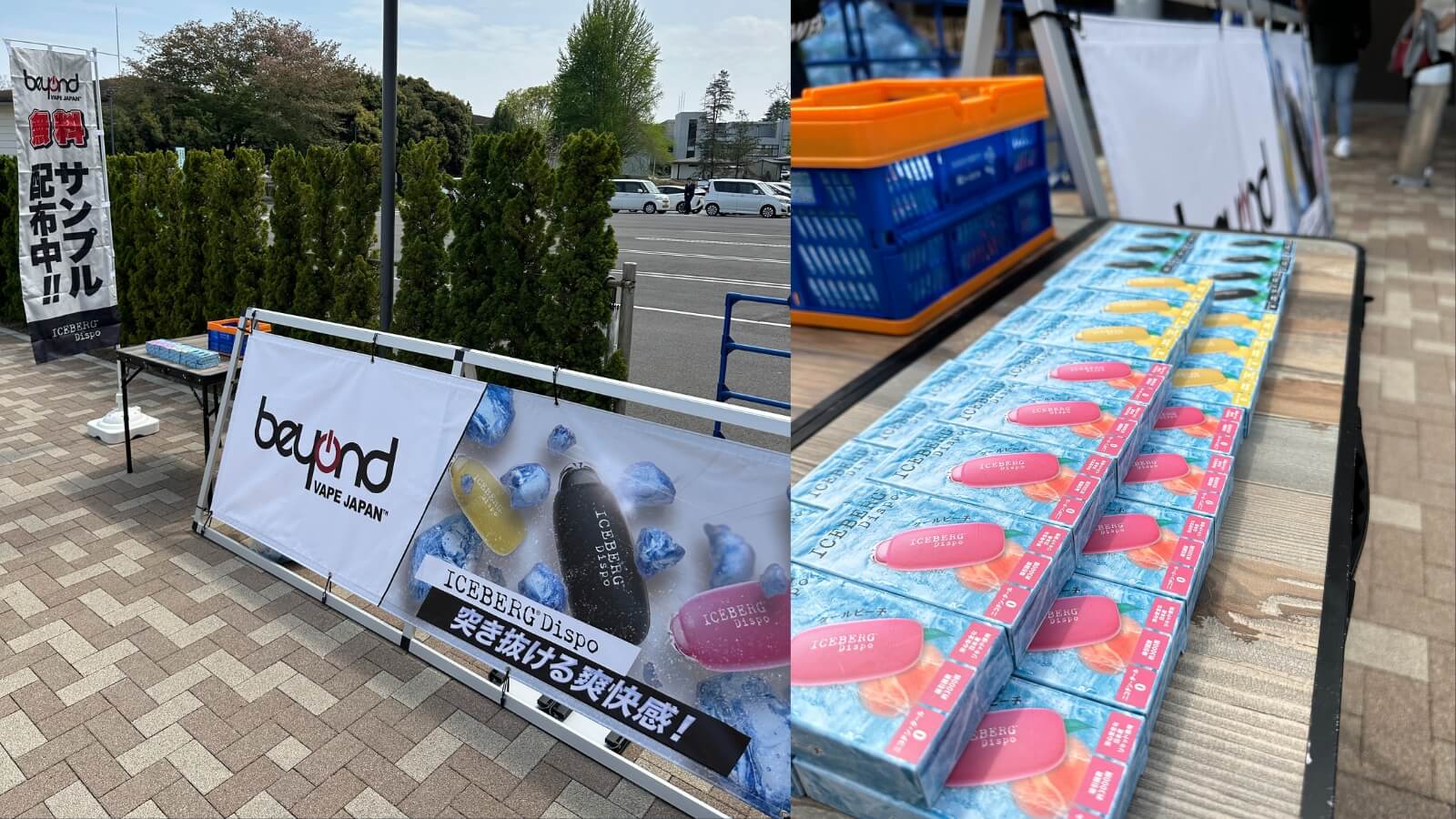 茨城ロボッツ ICEBERG Dispo サンプリング