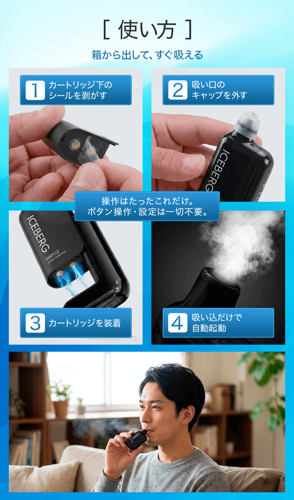 ICEBERG Dispo2使用手順