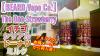 レビュー0407 The Ooe Strawberry
