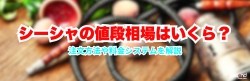 シーシャ 値段 TOP