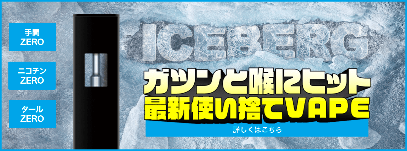 ICEBERG使い捨て